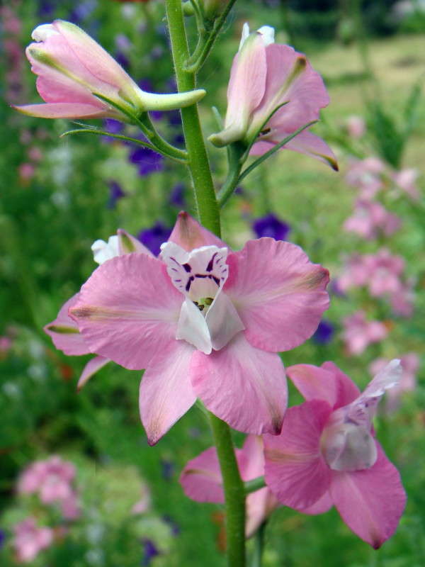 ���� ����� ����� ������ ���� �� PhotoGeek.ru #�����