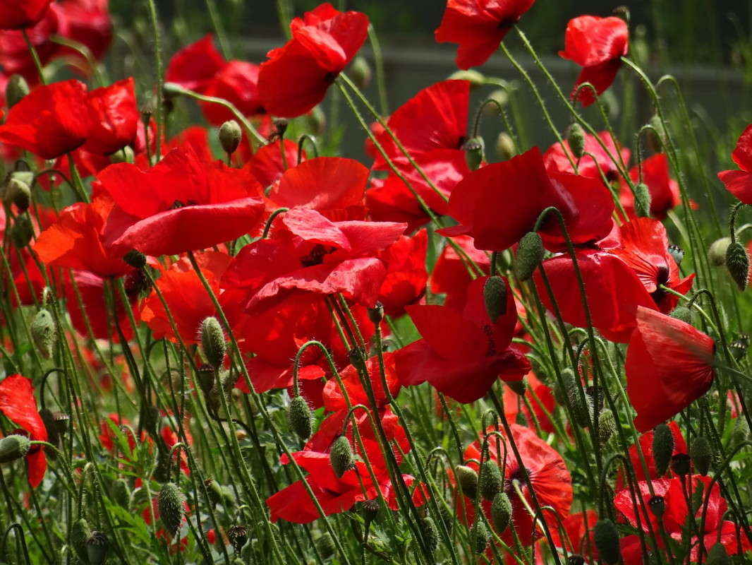 ������� �������� ����� ������ ���� �� PhotoGeek.ru #������ ��� �������