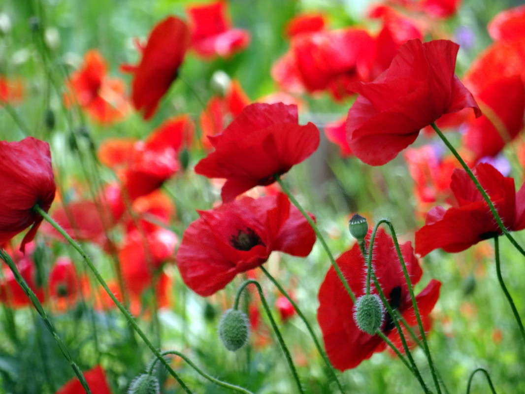 ���� � ����� ����� ������ ���� �� PhotoGeek.ru #������ ��� �������