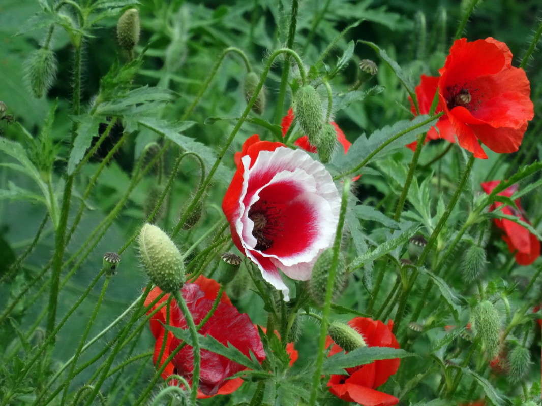 �� ����� ��� ��� ����� ������ ���� �� PhotoGeek.ru #������ ��� �������