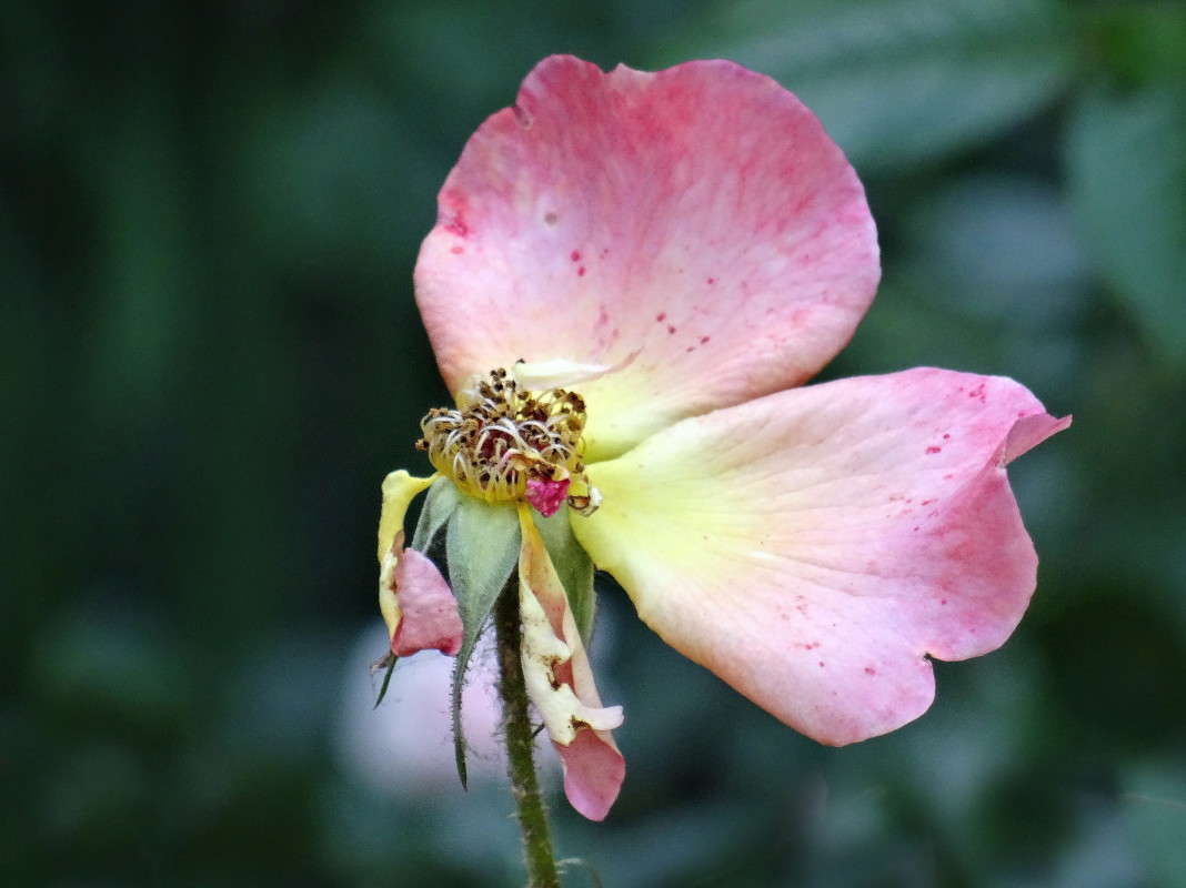 ������� ����� ������ ���� �� PhotoGeek.ru #�����