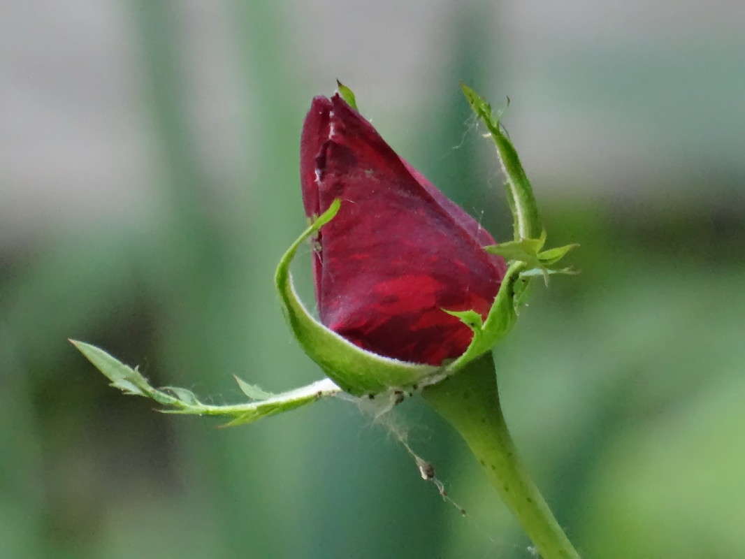 ����� ����� ������ ���� �� PhotoGeek.ru #�����