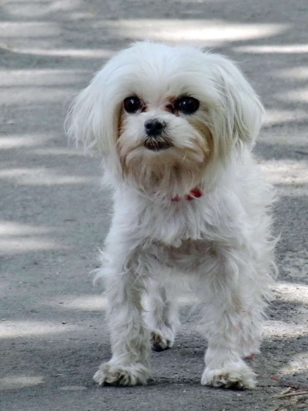 ������ ����� ������ ���� �� PhotoGeek.ru #�������� ���