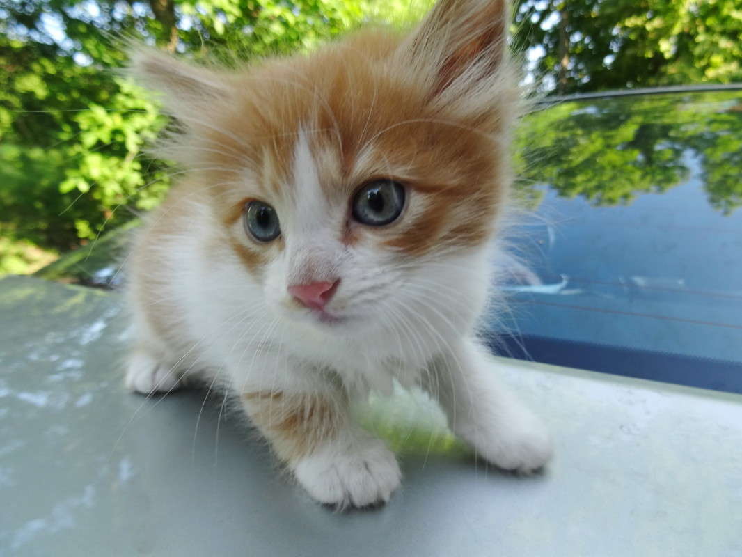 ����� ������� ����� ������ ���� �� PhotoGeek.ru #�������� ���