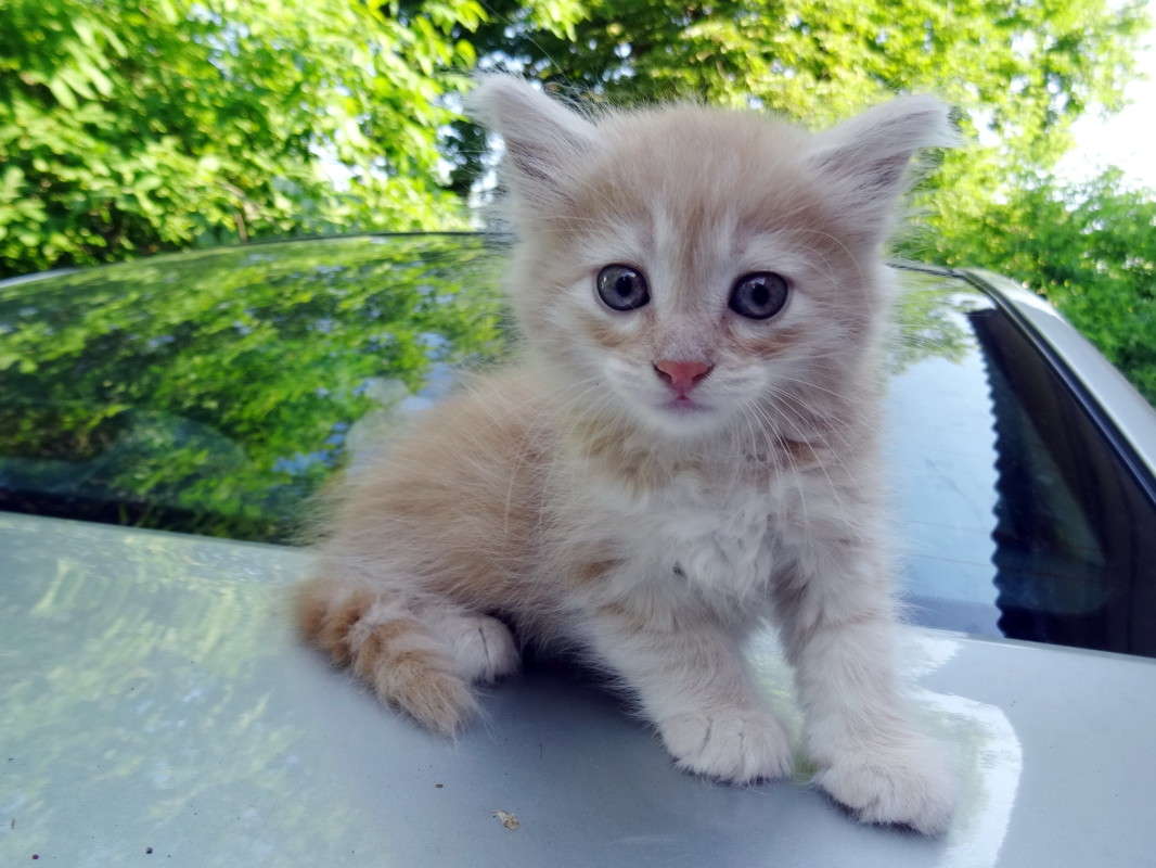 ������ ����� ������ ���� �� PhotoGeek.ru #�������� ���