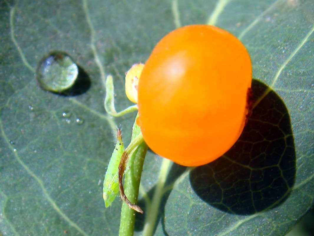 ������ �������� � ��� ����� ������ ���� �� PhotoGeek.ru #�����