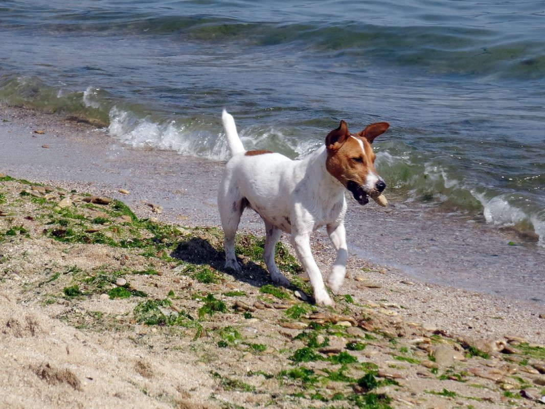 � ����� ����� ������ ���� �� PhotoGeek.ru #�������� ���