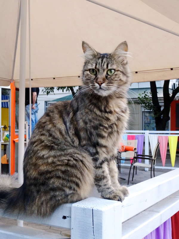 ������ ���� ����� ������ ���� �� PhotoGeek.ru #�������� ���