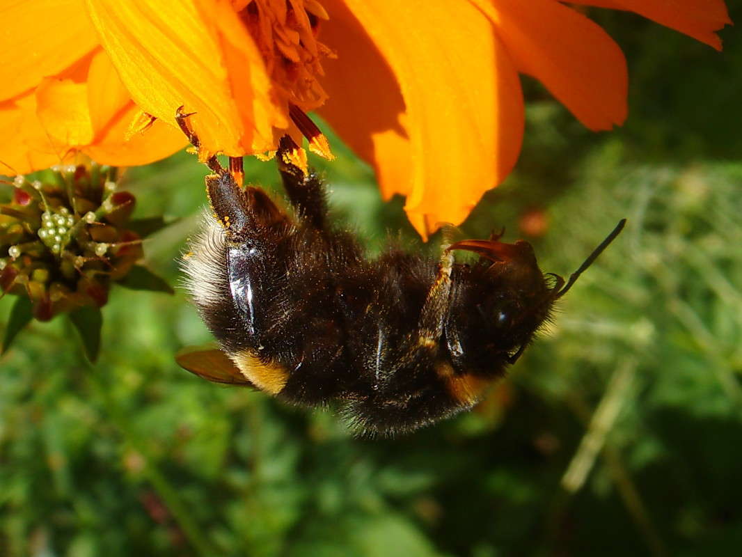 �������� ����� ����� ������ ���� �� PhotoGeek.ru #�����