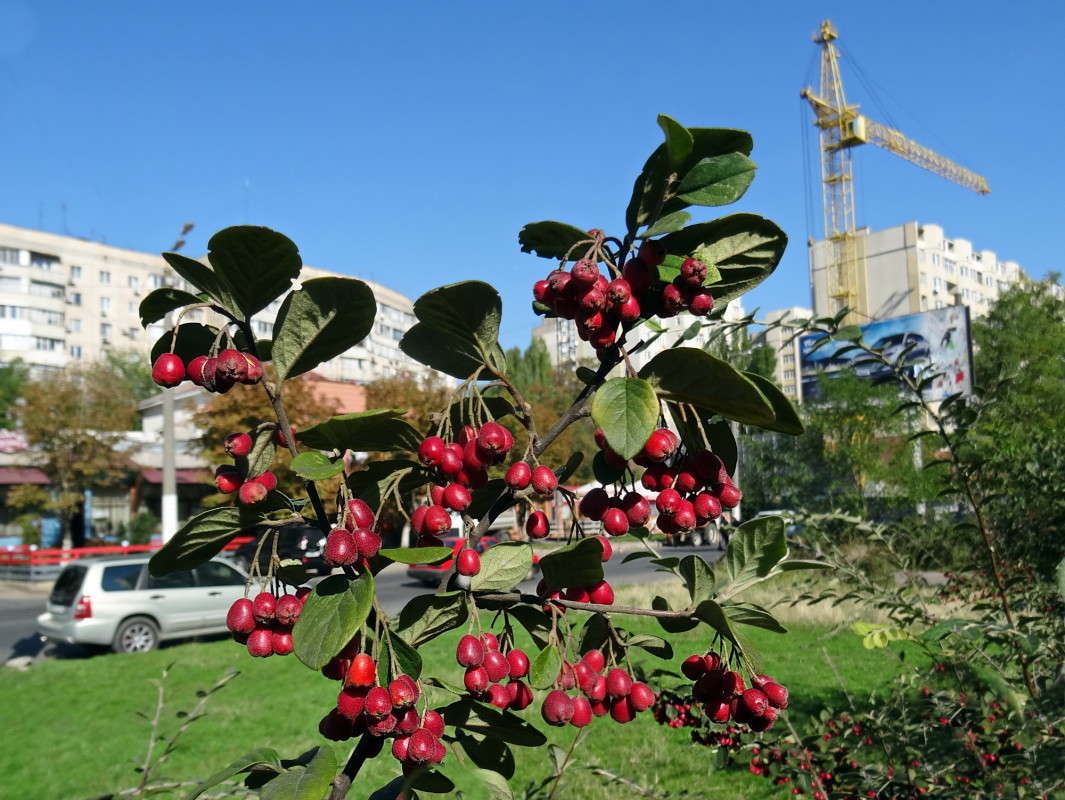 ������� ����� ����� ������ ���� �� PhotoGeek.ru #������ ��� �������