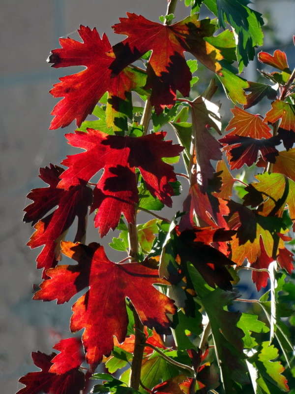 ������� ������ ��������� ����� ������ ���� �� PhotoGeek.ru #������ ��� �������