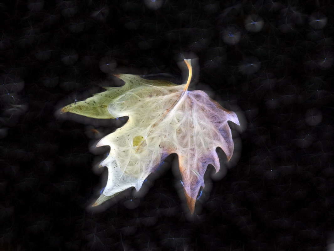 �������� ���� ����� ������ ���� �� PhotoGeek.ru #�������� ����������