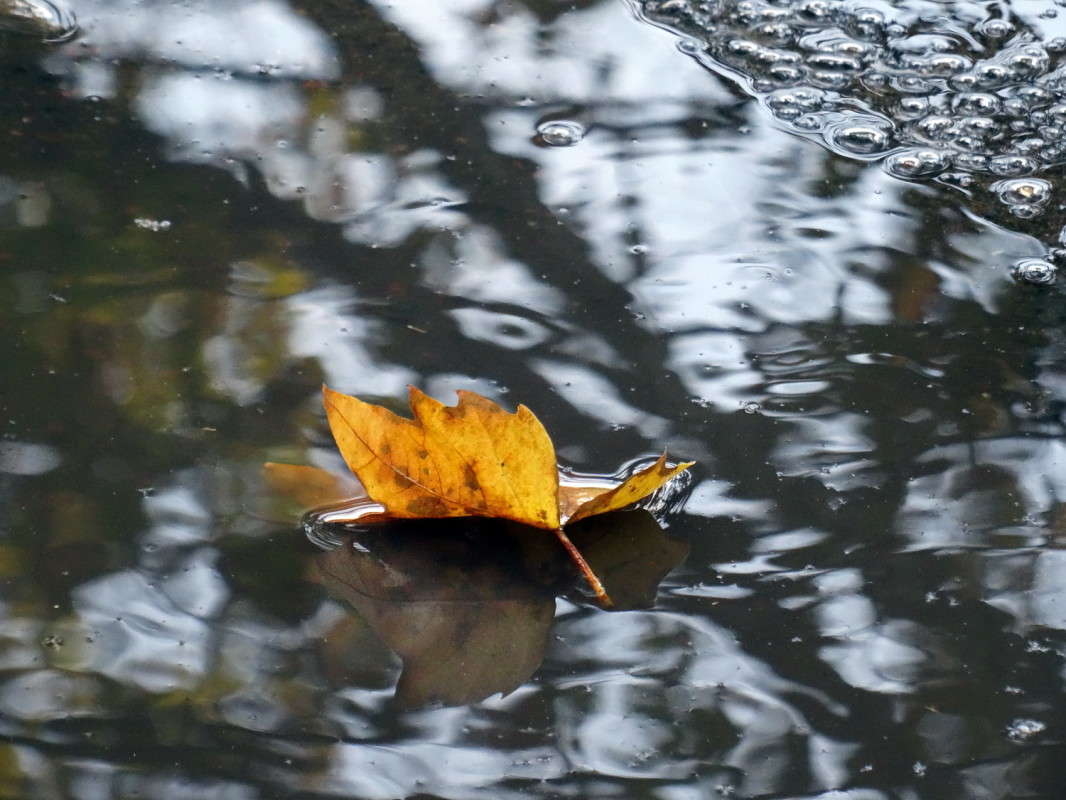 �������� ����� ����� ������ ���� �� PhotoGeek.ru #�������� ����������