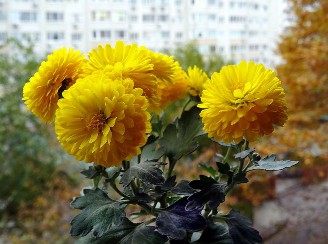 ������� ���������� ����� ������ ���� �� PhotoGeek.ru #���������