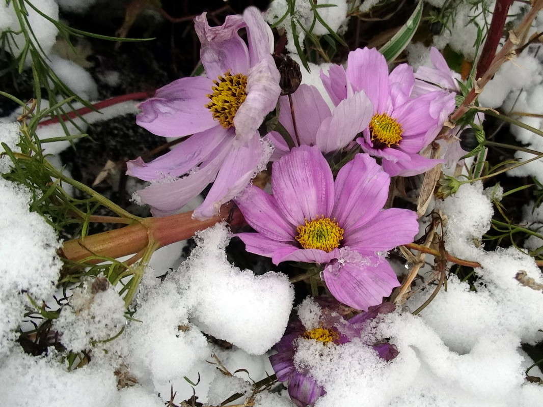 ����������� ����� ����� ������ ���� �� PhotoGeek.ru #������ ��� �������