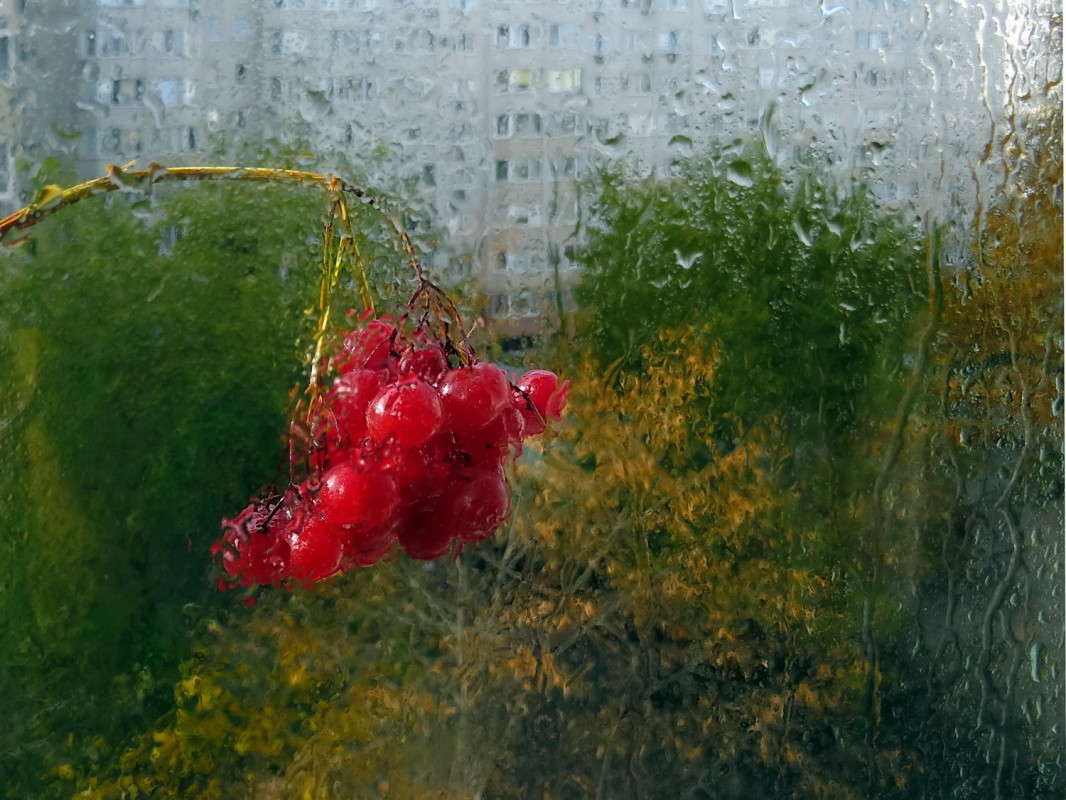 ������ ������� ����� ������ ���� �� PhotoGeek.ru #������ ��� �������