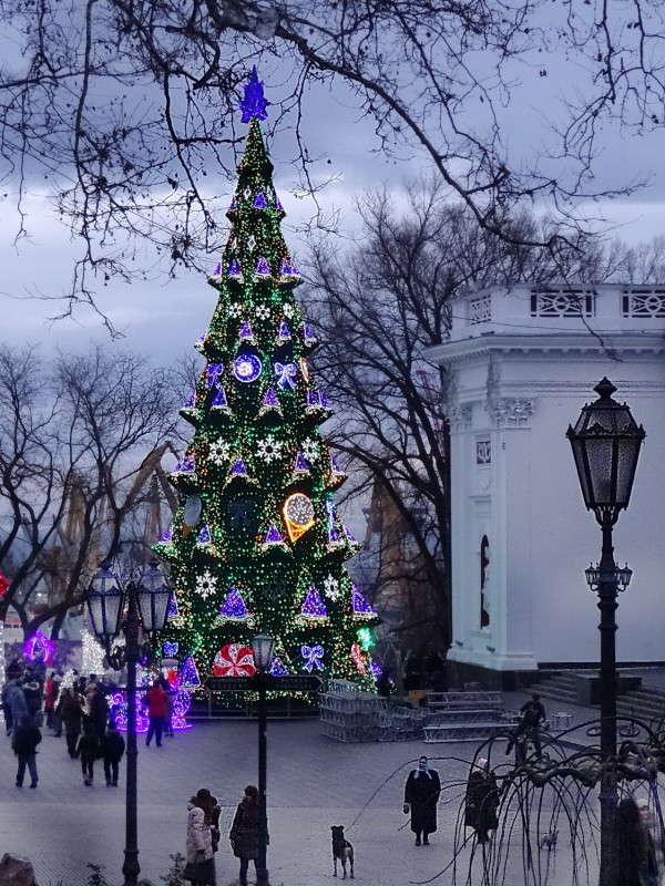 ������� ���� ������ ����� ������ ���� �� PhotoGeek.ru #�������� ����������