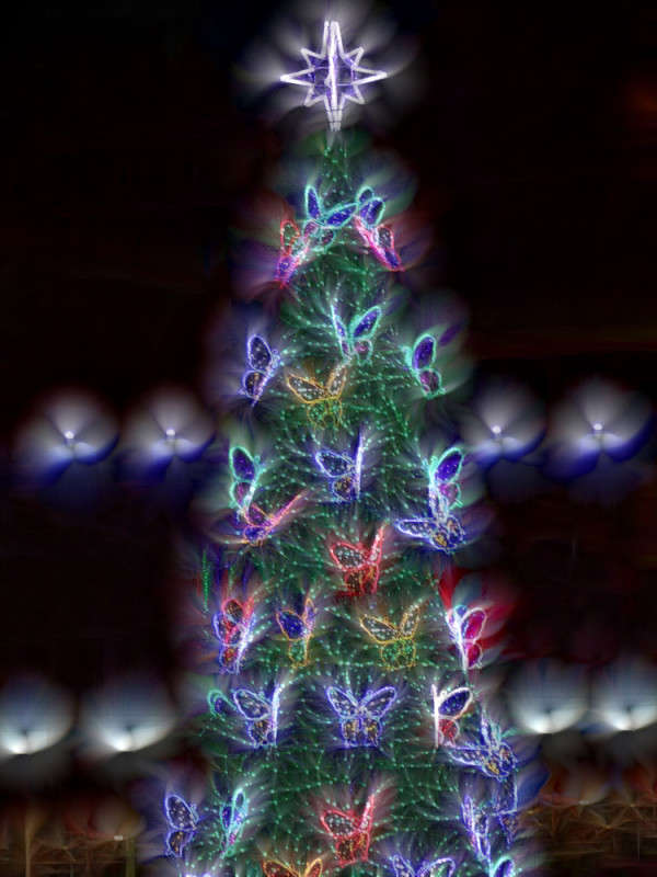 ���� , ������� �������� �������� ����� ������ ���� �� PhotoGeek.ru #�������� ����������