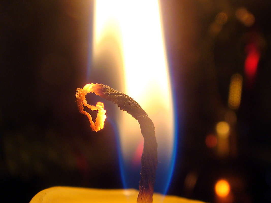 ������ ���������� ����� ����� ������ ���� �� PhotoGeek.ru #�����