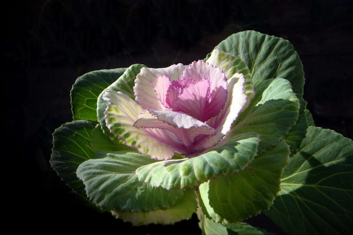 ����� ���� ����� ������ ���� �� PhotoGeek.ru #������ ��� �������