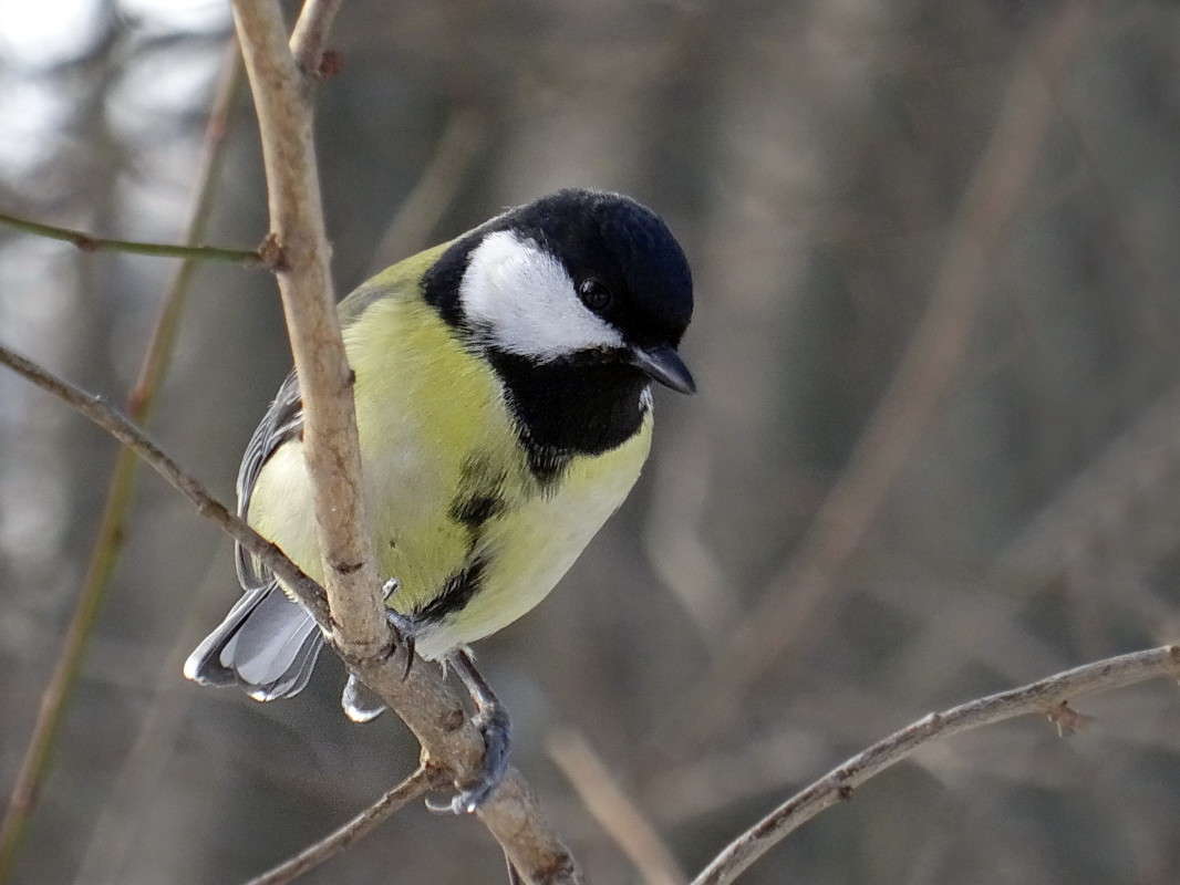 ������ ������� ����� ������ ���� �� PhotoGeek.ru #�������� ���