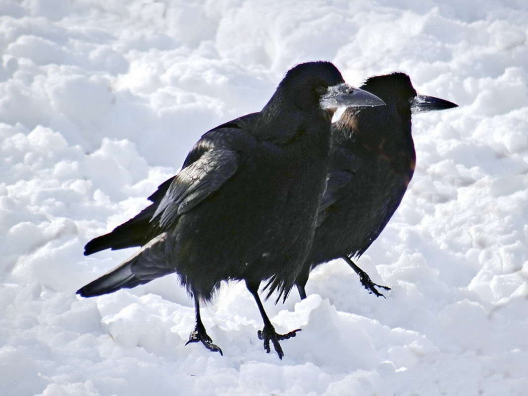 ���� � ����� ����� ������ ���� �� PhotoGeek.ru #�������� ���