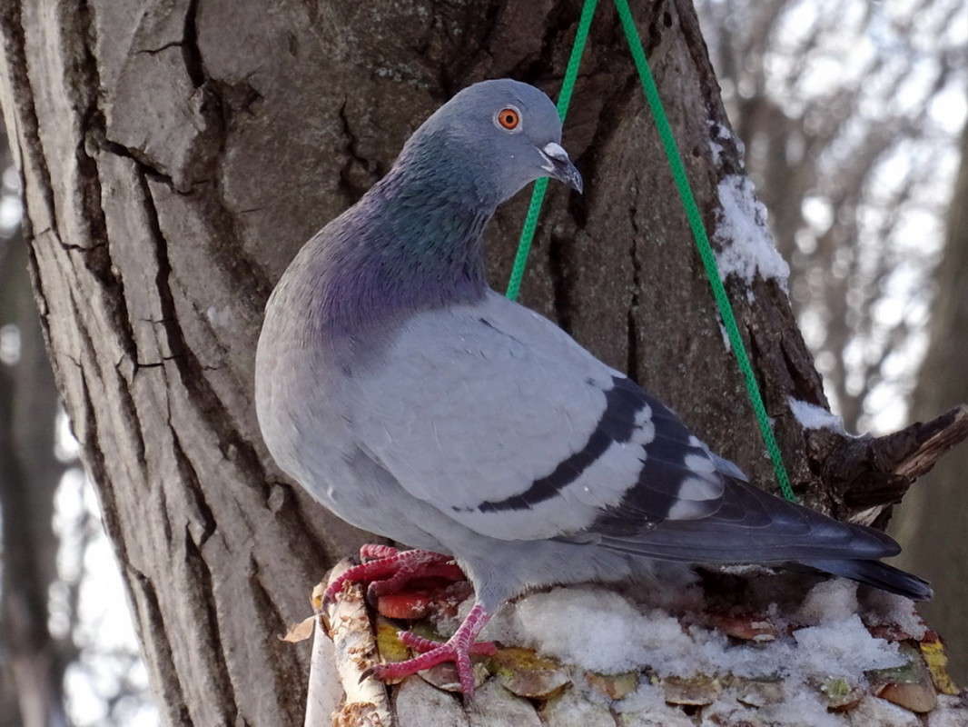 ������� ����� ������ ���� �� PhotoGeek.ru #�������� ���