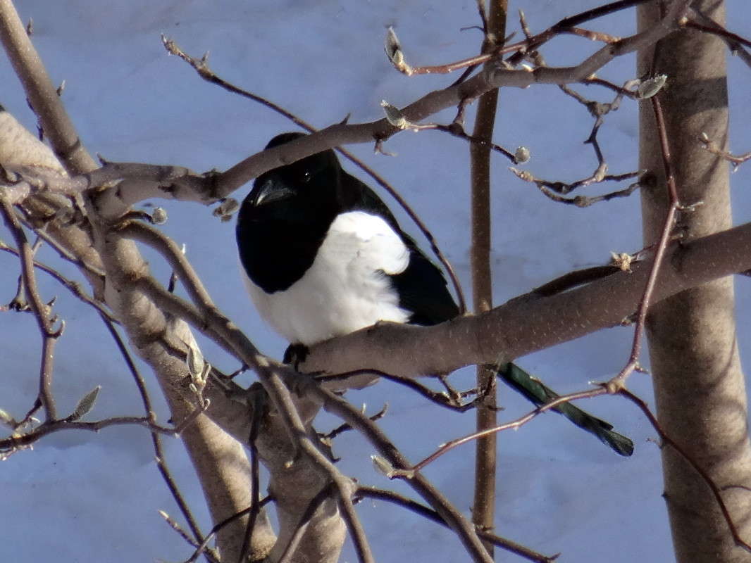 ������ - �������� ����� ������ ���� �� PhotoGeek.ru #�������� ���