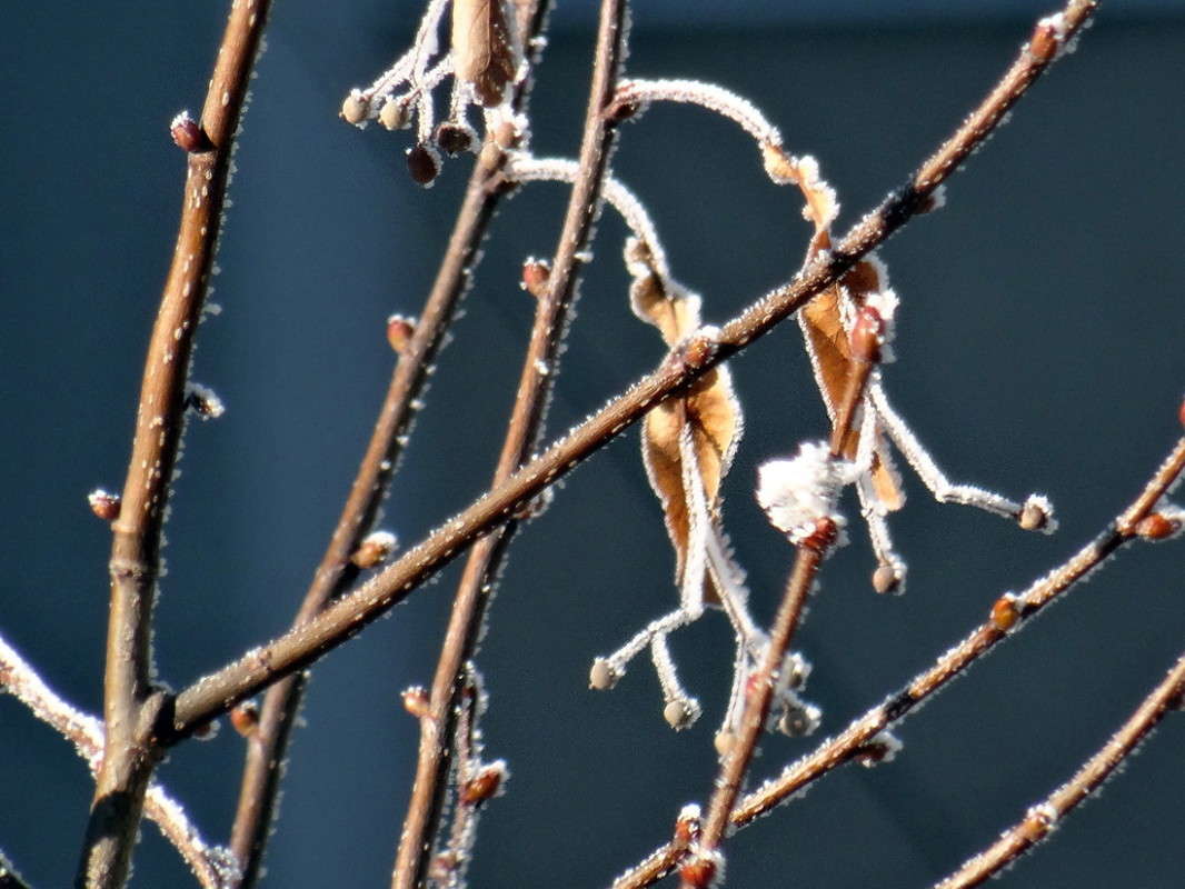 �������� ����� ������ ���� �� PhotoGeek.ru #������ ��� �������