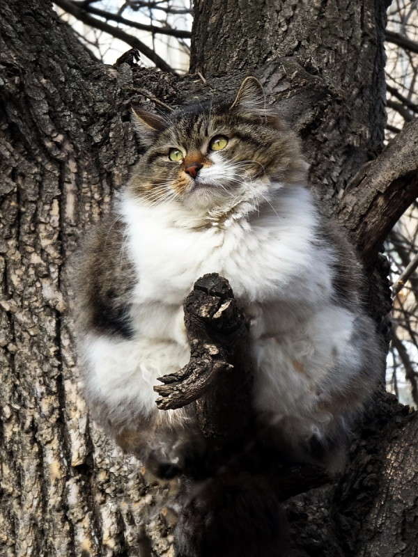 ���� ����! ����� ������ ���� �� PhotoGeek.ru #�������� ���