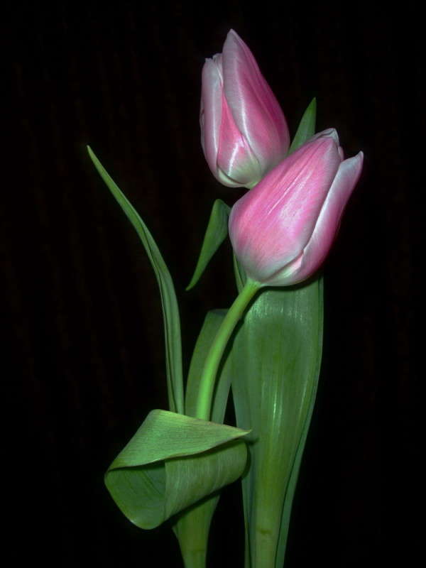 ������� ����� ������ ���� �� PhotoGeek.ru #������ ��� �������