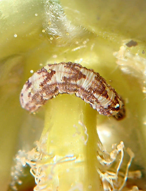 ���� ����� ������ ���� �� PhotoGeek.ru #�����