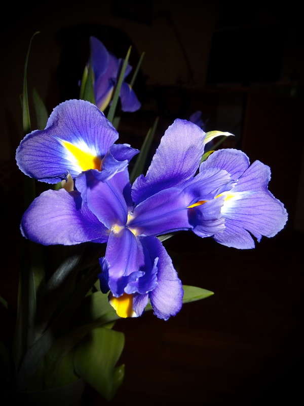 ���� ����� ������ ���� �� PhotoGeek.ru #������ ��� �������