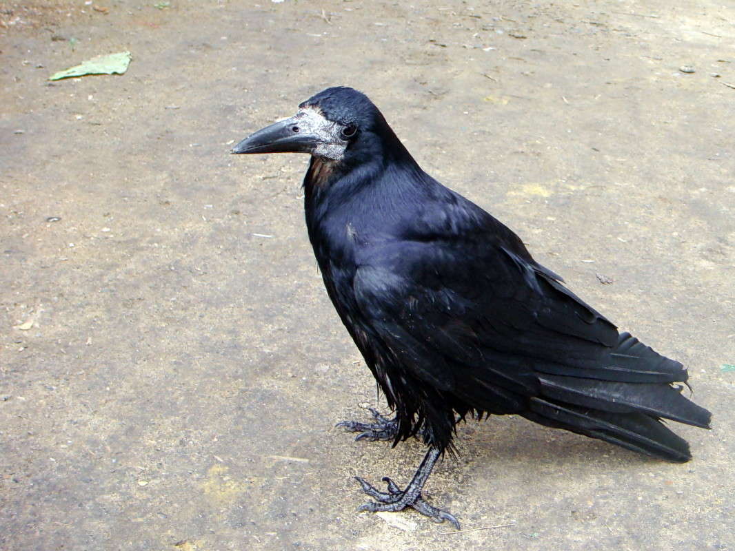 ��������� ������ ����� ������ ���� �� PhotoGeek.ru #�������� ���