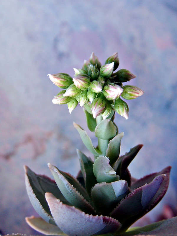 ��������� �������� ����� ������ ���� �� PhotoGeek.ru #������ ��� �������