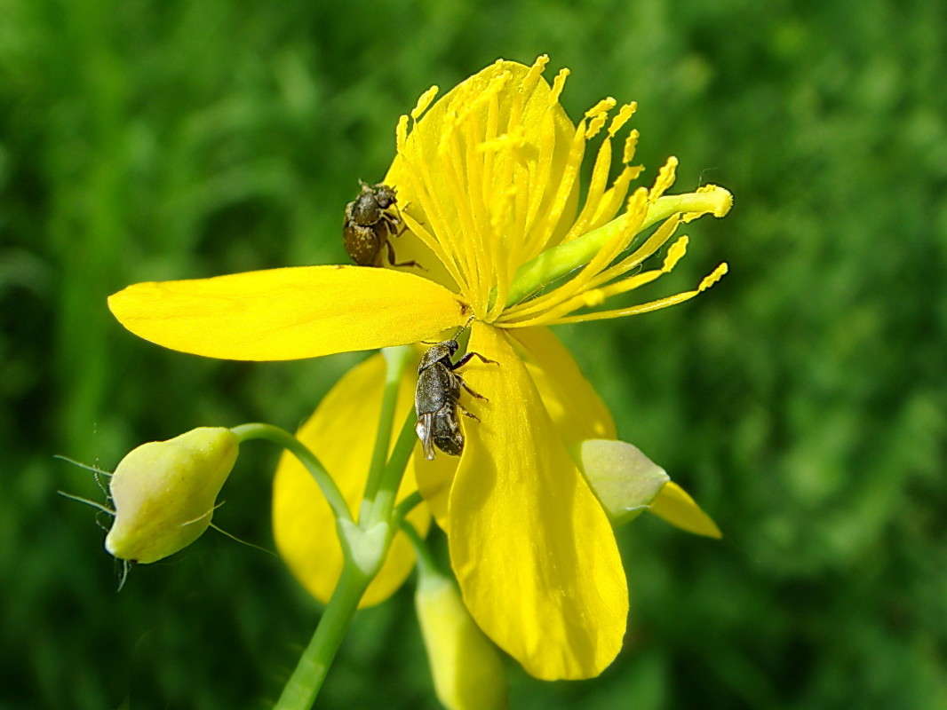 �������� ����� ������ ���� �� PhotoGeek.ru #������ ��� �������