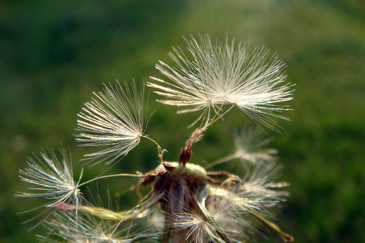 ��������� �� ������ ����� ������ ���� �� PhotoGeek.ru #������ ��� �������