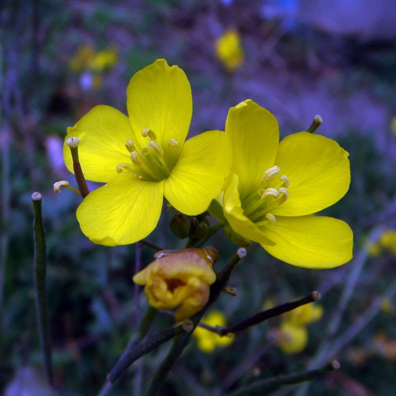 ������ ����� ������ ���� �� PhotoGeek.ru #������ ��� �������