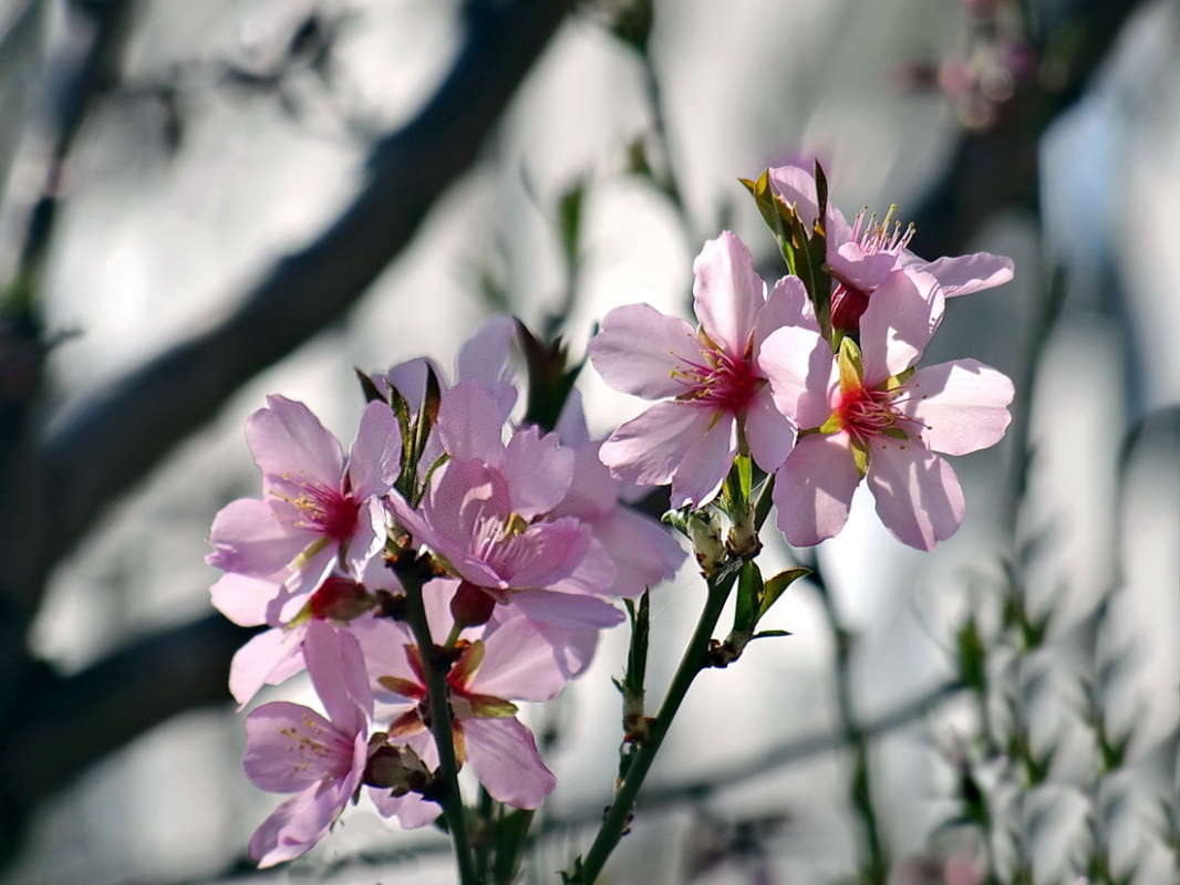 ���� ������� ����� ������ ���� �� PhotoGeek.ru #������ ��� �������