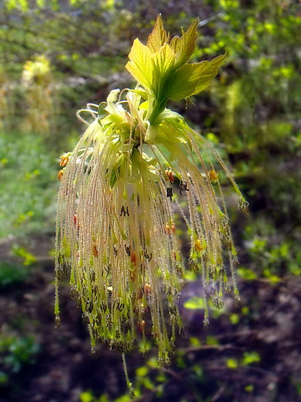 ��������� ����� ������ ���� �� PhotoGeek.ru #������ ��� �������