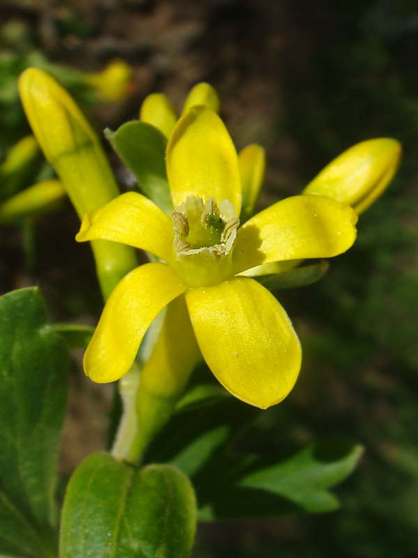 ���� ��������� ����� ������ ���� �� PhotoGeek.ru #������ ��� �������