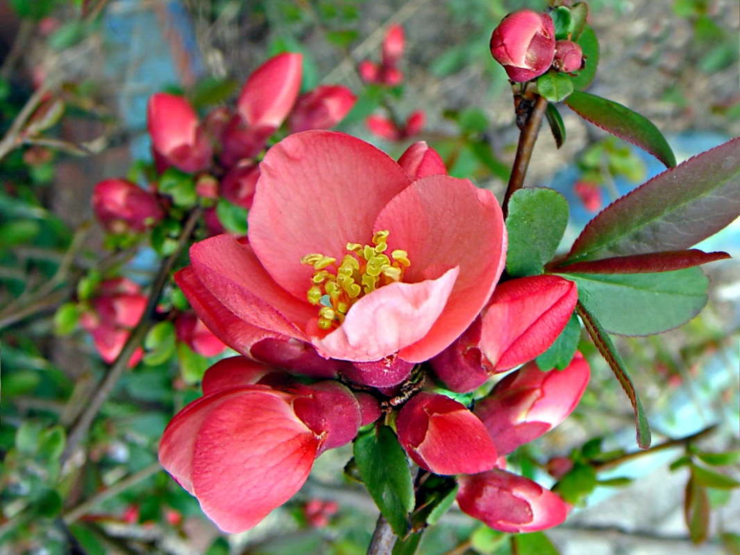 ����� ������������ ���� ����� ������ ���� �� PhotoGeek.ru #������ ��� �������