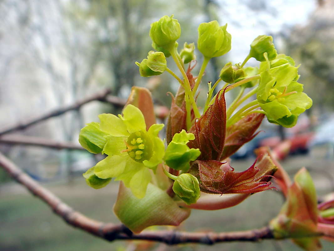 ������� ����� ����� ������ ���� �� PhotoGeek.ru #������ ��� �������