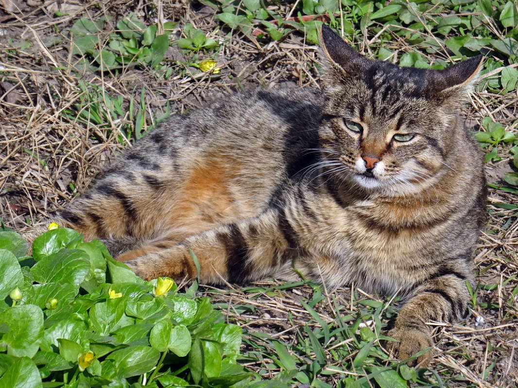 ��� ����� �������� ����� ������ ���� �� PhotoGeek.ru #�������� ���