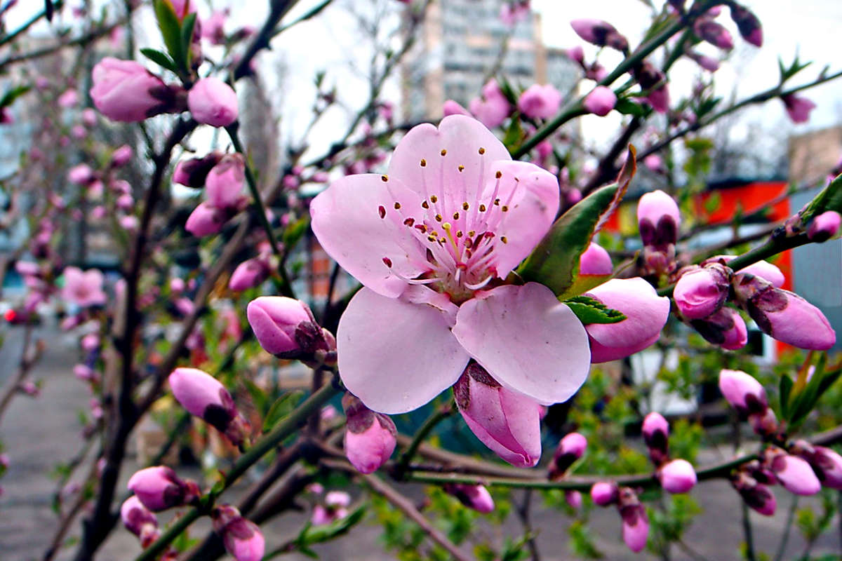 ���� ������� ����� ������ ���� �� PhotoGeek.ru #������ ��� �������