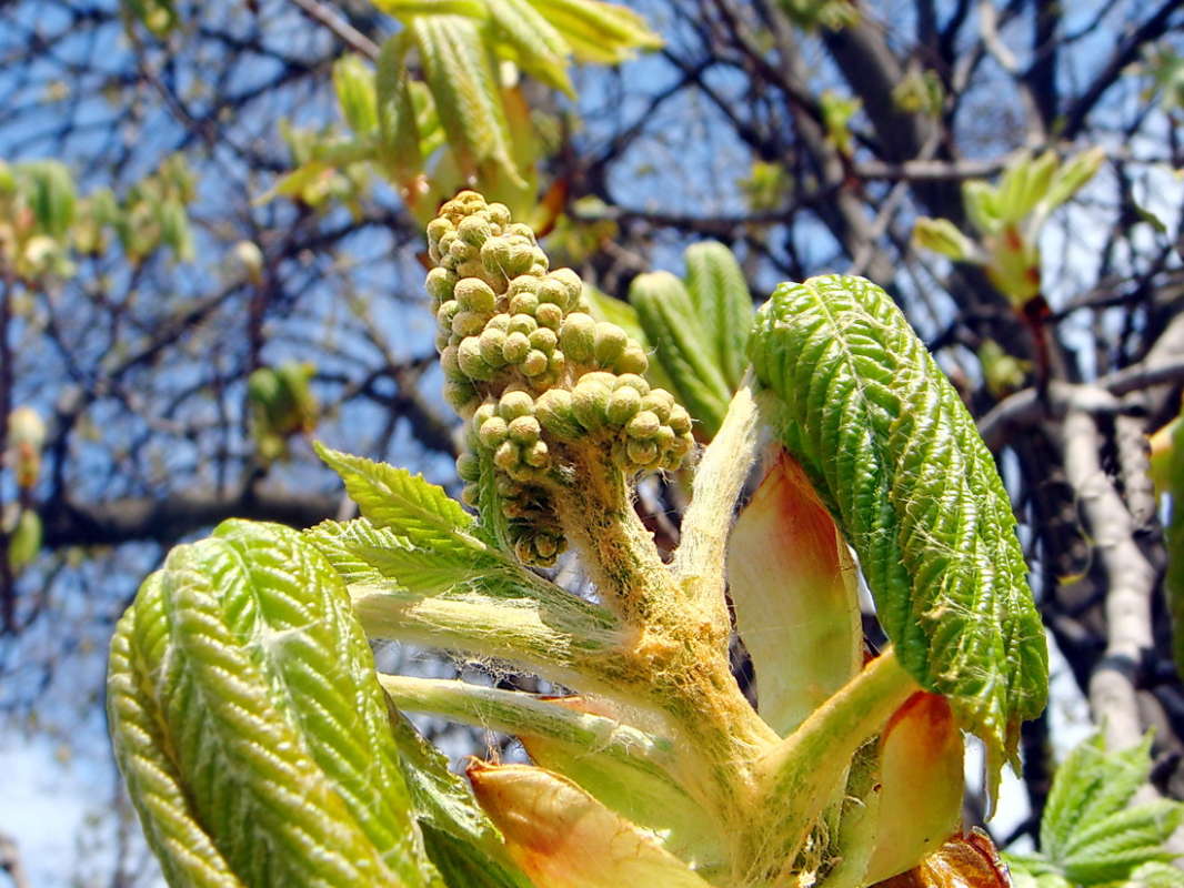 ���� ������� ����� ������ ���� �� PhotoGeek.ru #������ ��� �������