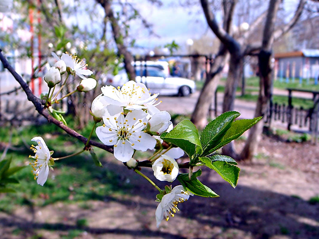 ����� � ������ ����� ������ ���� �� PhotoGeek.ru #������ ��� �������