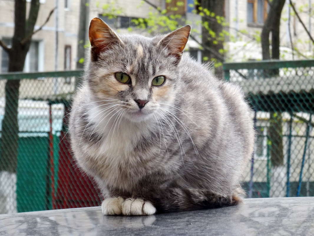 �������� ����� ������ ���� �� PhotoGeek.ru #�������� ���