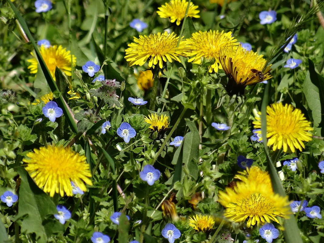 ����� ����� ����� ������ ���� �� PhotoGeek.ru #������ ��� �������