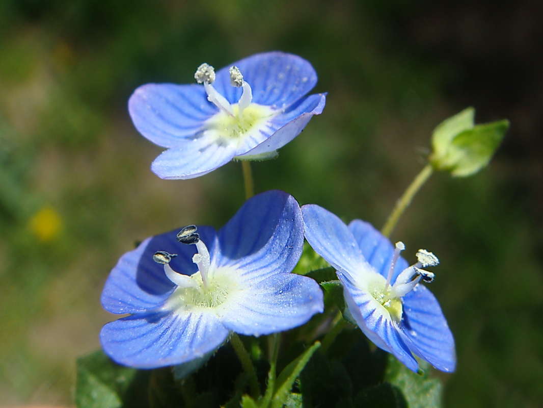 ������� �������� ����� ������ ���� �� PhotoGeek.ru #�����